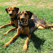 Profile Picture of Lisa Yates (@lisayates5202) on Youtube