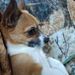 Profile Picture of Trudy (@trudyrobison17) on Pinterest