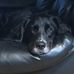 Profile Picture of Kevin Thompson (@kevin.thompson.961556) on Facebook