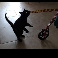 Profile Picture of Mark Crump (@mark.crump6) on Tiktok