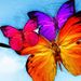 Profile Picture of Paula Sciacca (@paulapavanisciacca) on Pinterest