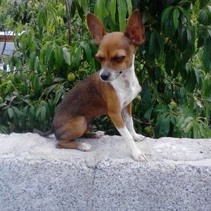 Profile Picture of Estrella Ruby Zuñiga (@EstrellaRubyZu1) on Twitter