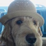 Profile Picture of Jean Trinkaus (@aquious_humor) on Instagram