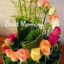 Profile Picture of Sheron Joseph (@sheronjay60) on Twitter