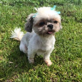 Profile Picture of T. Stringer (@toniastringer) on Pinterest