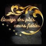 Profile Picture of BENOIT Marilyne (@lesptitscoeursfideles) on Instagram