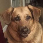 Profile Picture of James Schilling (@james.schilling.359) on Instagram