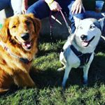 Profile Picture of Zack Lamb (@zack.lamb) on Instagram