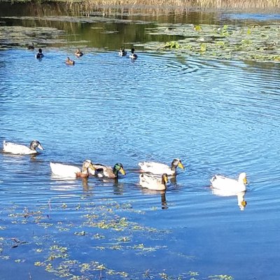 Profile Picture of Keensleet3 (@donovan_helm) on Twitter