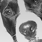 Profile Picture of Jared Callahan (@callahan.jared) on Instagram