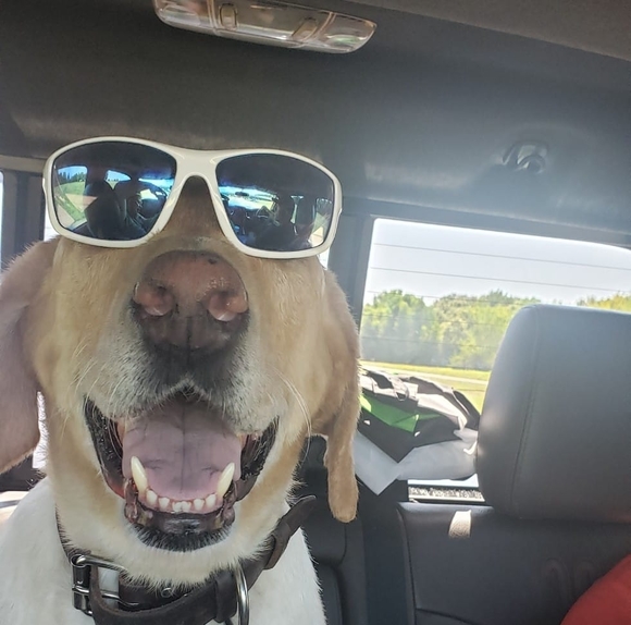 Profile Picture of Craig Ferguson (@craigferg) on Poshmark