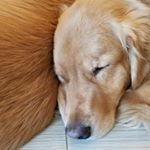 Profile Picture of David Stefek (@dstefek) on Instagram