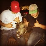 Randy Rangel - Instagram Profile Picture of Randy Rangel (@randyrangel) on Instagram