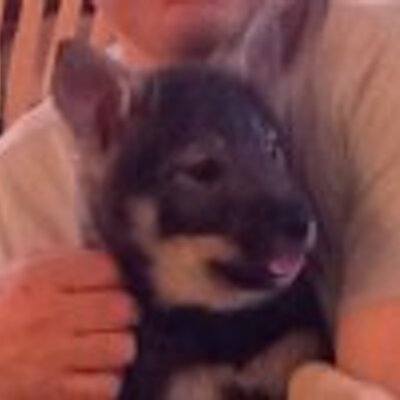 Profile Picture of Roger Kalstad (@wadnem) on Twitter
