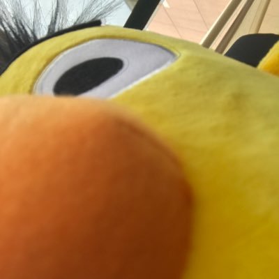 Profile Picture of Bertsummer0412 (@Bertsummer0412) on Twitter