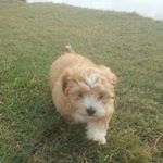 Profile Picture of Doris Evans (@dorrieevans4558) on Instagram