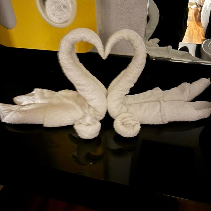 Profile Picture of Isaac.&.Iris (@isaac..iris) on Tiktok