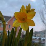 Profile Picture of Mercedes A González Vidal (@mercedes.gonzalezvidal) on Instagram