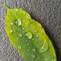 Joan Musselman - Quora Profile Picture of Joan Musselman (@joan-musselman-1) on Quora