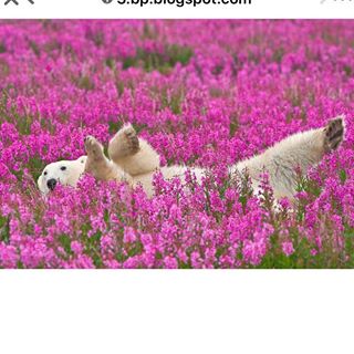 Marlene Bisson - Facebook Profile Picture of Marlene Bisson (@marlene.bisson.39) on Facebook