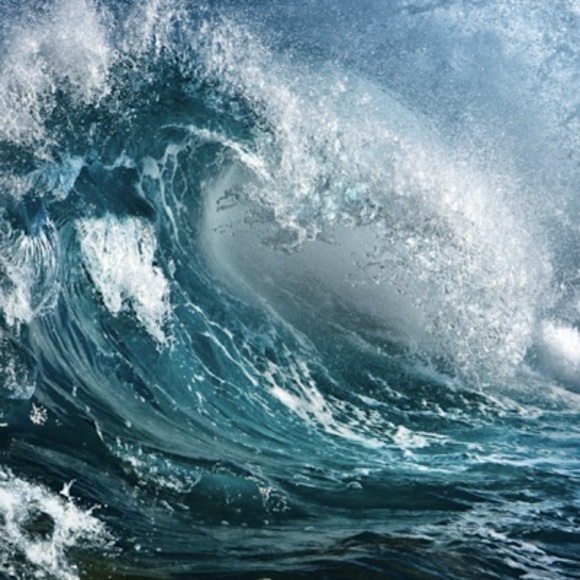 Profile Picture of Emma Samimi (@emmasamimi080) on Poshmark