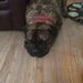 Profile Picture of Steven McCall (@stevenemccall) on Pinterest