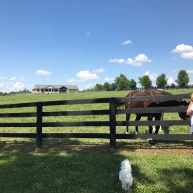 Profile Picture of Ethan Lederer (@ChiefEth17) on Twitter