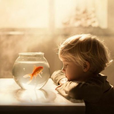 Profile Picture of Jeffrey (@JefferyRobin_3) on Twitter