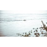 Profile Picture of Swigert Joseph (@hecanelg) on Instagram