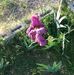 Profile Picture of Isaac Dearing (@isaac.dearing.39) on Facebook