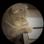 Profile Picture of Alan Zalewski (@alan.zalewski.167) on Facebook