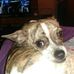 Profile Picture of Amanda Talbert (@amanda.talbert.583) on Facebook