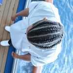 Profile Picture of Nate Hill (@bignate43) on Instagram