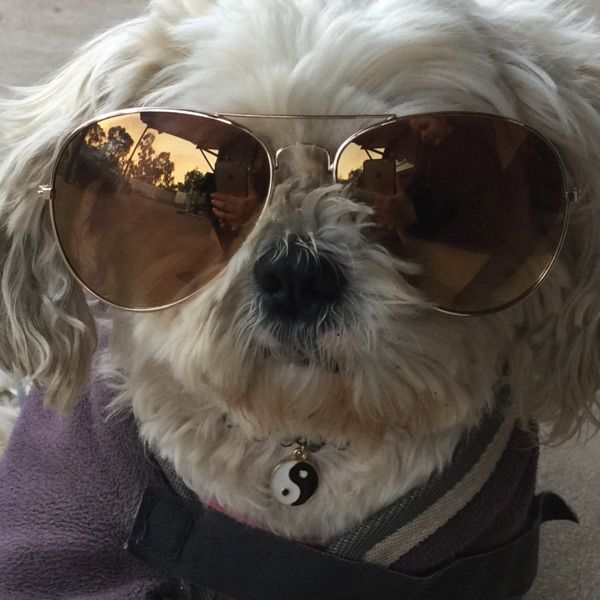 Profile Picture of Alicia Blackmore (@aliciablackmore) on Tiktok