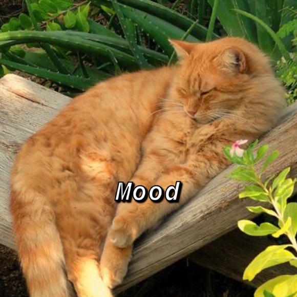 Julia Nickerson - Poshmark Profile Picture of Julia Nickerson (@julia_nickerson) on Poshmark