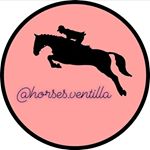 Profile Picture of IFB!!!!!!~[1.4k}~ (@horses.ventilla) on Instagram