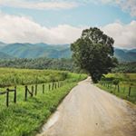 Profile Picture of Tammy Willett (@tammydwillettphoto) on Instagram