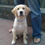 Profile Picture of Jeff Peart (@jeffpeart) on Instagram