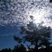 Profile Picture of David Paynter (@paynter1766) on Pinterest