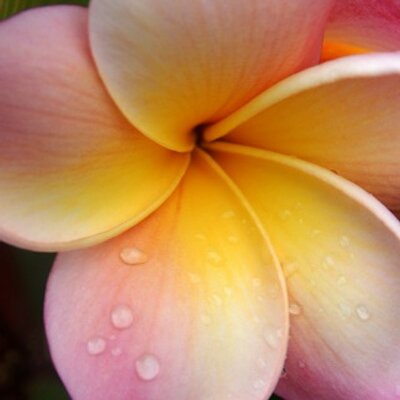 Profile Picture of Claudia Walters (@belle1skincare) on Twitter