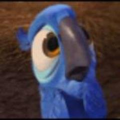 Profile Picture of Bruno Rodriguez (@Northyale) on Twitter