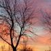 Profile Picture of Erin Hankel (@davidsonerin415) on Pinterest