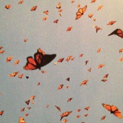 Profile Picture of Kiersten Jacobsen (@Jacobs8Kiersten) on Twitter