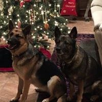 Profile Picture of Cathie Abramowitz (@cathie-abramowitz) on Quora