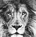 Profile Picture of Adam Malki (@adam.malki.5249) on Facebook