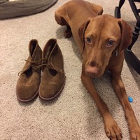 Profile Picture of Alexander Straus (@alexander-straus-1) on Quora