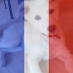Profile Picture of Kevin Stenger (@kevin.stenger) on Instagram