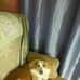 Profile Picture of Joseph Auchter (@joseph.auchter.9) on Facebook