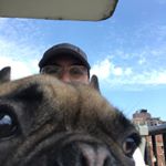 Profile Picture of Alexander Owen (@lexanderowen) on Instagram