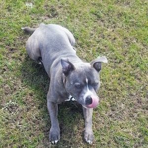 Profile Picture of Ogtastical (@mark_horrigan) on Twitter